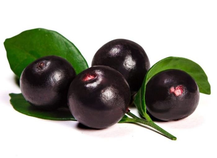 Acai Berry - Is it Known For Its Weight Loss Success?